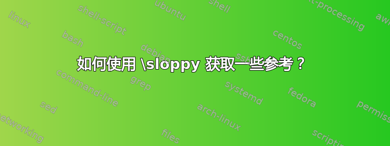 如何使用 \sloppy 获取一些参考？