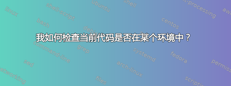 我如何检查当前代码是否在某个环境中？