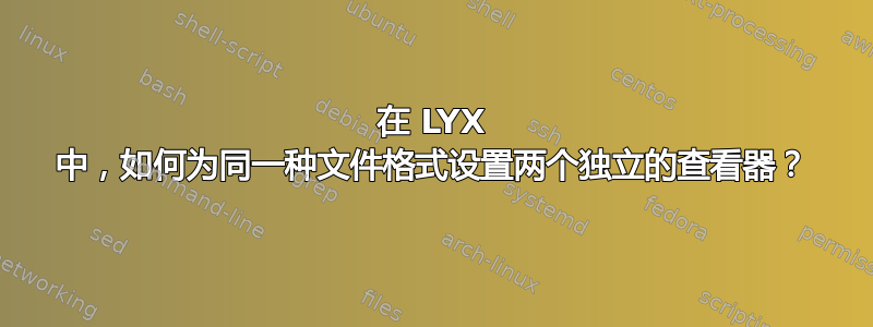 在 LYX 中，如何为同一种文件格式设置两个独立的查看器？