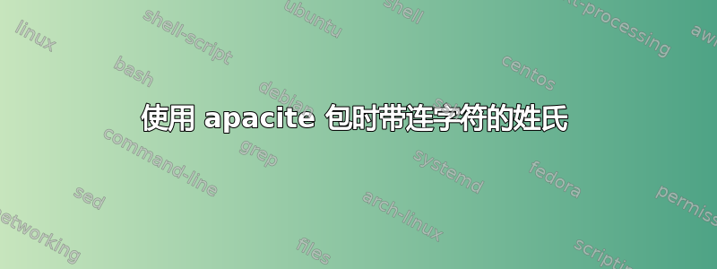 使用 apacite 包时带连字符的姓氏