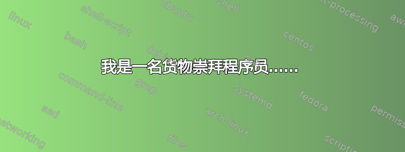 我是一名货物崇拜程序员……