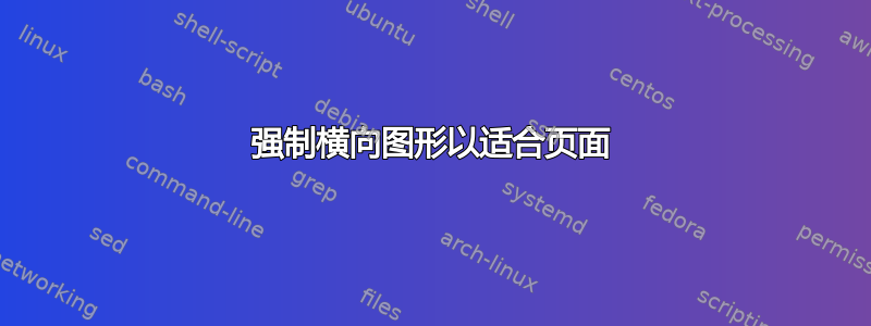 强制横向图形以适合页面