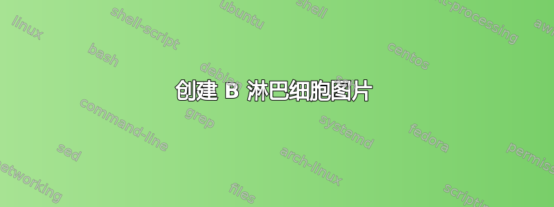 创建 B 淋巴细胞图片