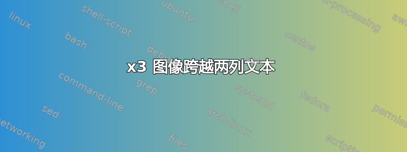 2x3 图像跨越两列文本