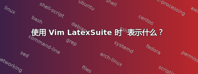 使用 Vim LatexSuite 时  表示什么？