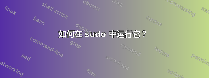 如何在 sudo 中运行它？