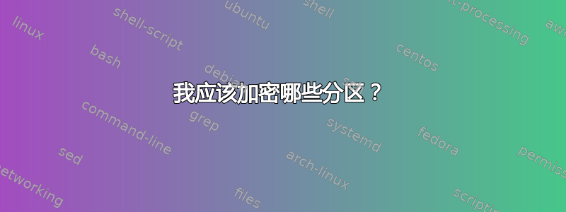 我应该加密哪些分区？