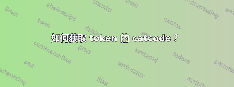 如何获取 token 的 catcode？