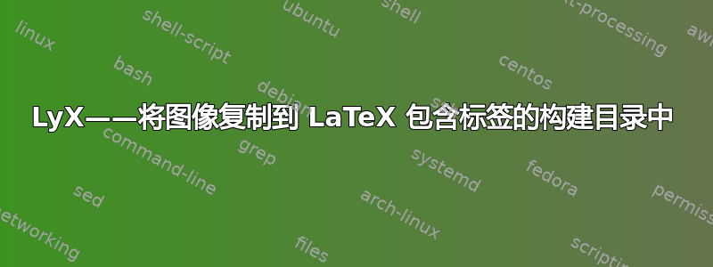 LyX——将图像复制到 LaTeX 包含标签的构建目录中