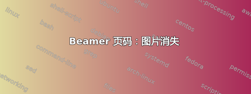 Beamer 页码：图片消失