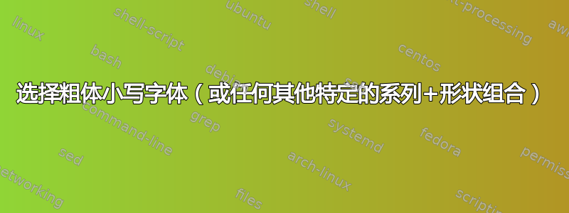 选择粗体小写字体（或任何其他特定的系列+形状组合）