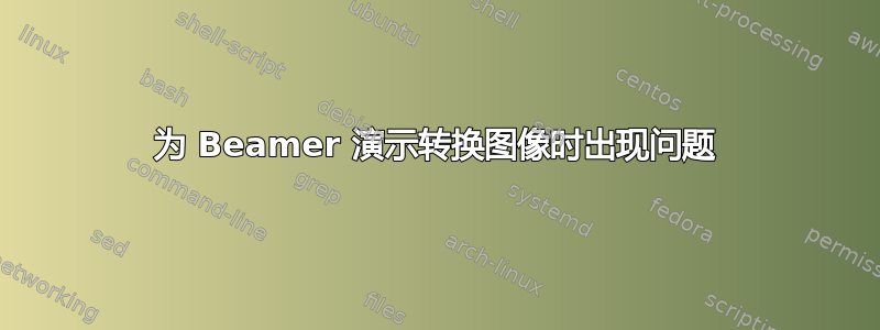 为 Beamer 演示转换图像时出现问题