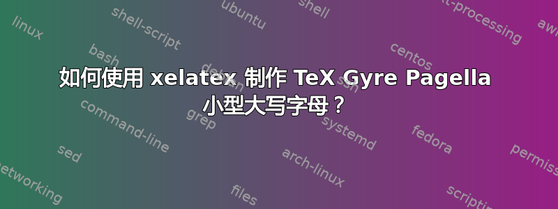 如何使用 xelatex 制作 TeX Gyre Pagella 小型大写字母？