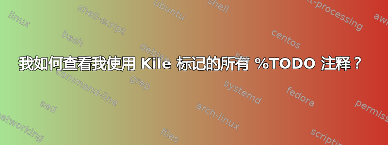 我如何查看我使用 Kile 标记的所有 %TODO 注释？