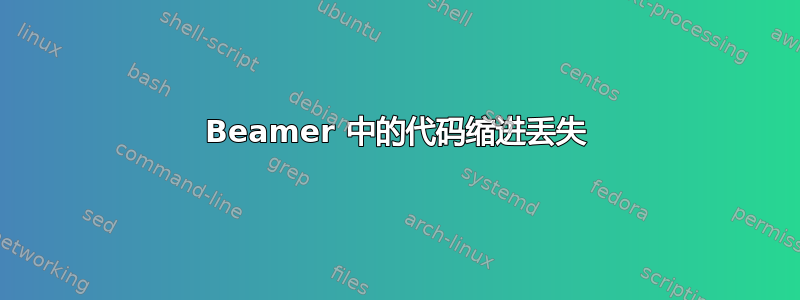 Beamer 中的代码缩进丢失