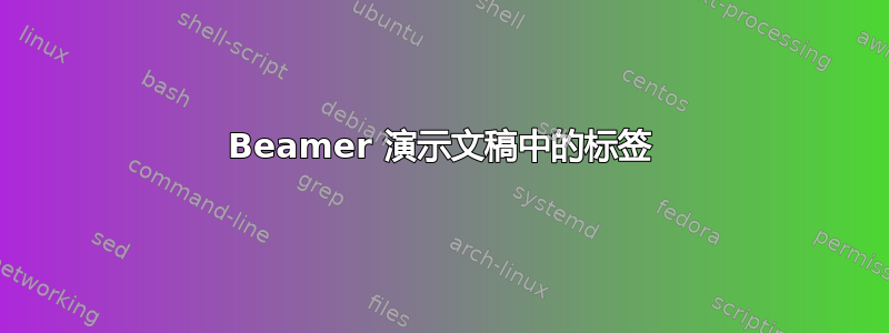 Beamer 演示文稿中的标签