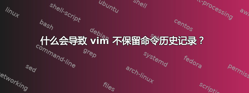 什么会导致 vim 不保留命令历史记录？