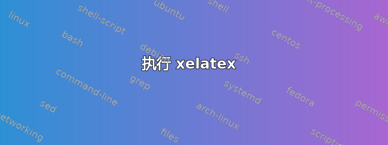 执行 xelatex 