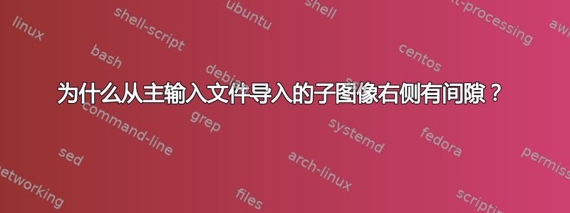 为什么从主输入文件导入的子图像右侧有间隙？