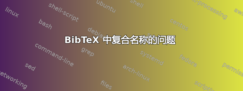 BibTeX 中复合名称的问题