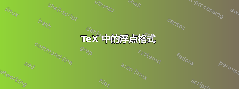 TeX 中的浮点格式