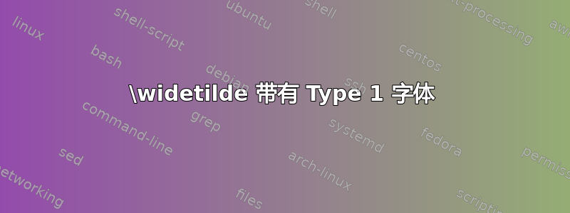 \widetilde 带有 Type 1 字体