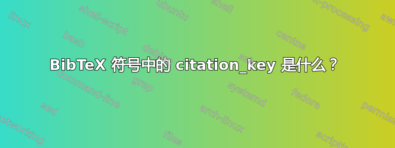 BibTeX 符号中的 citation_key 是什么？