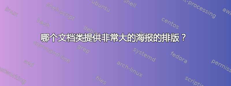 哪个文档类提供非常大的海报的排版？