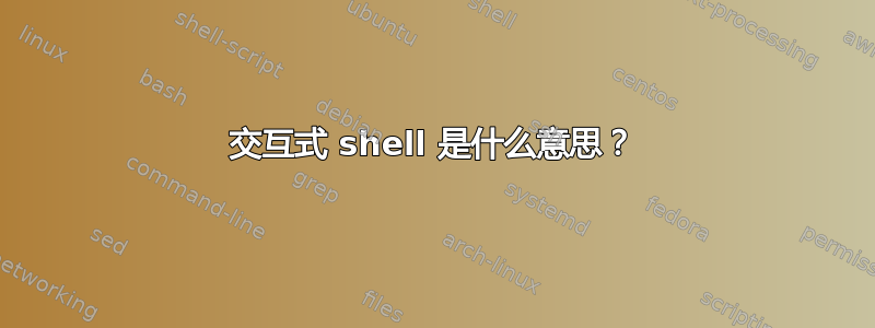 交互式 shell 是什么意思？