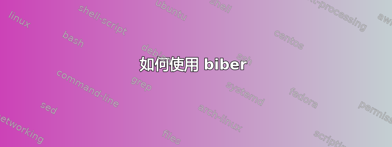 如何使用 biber