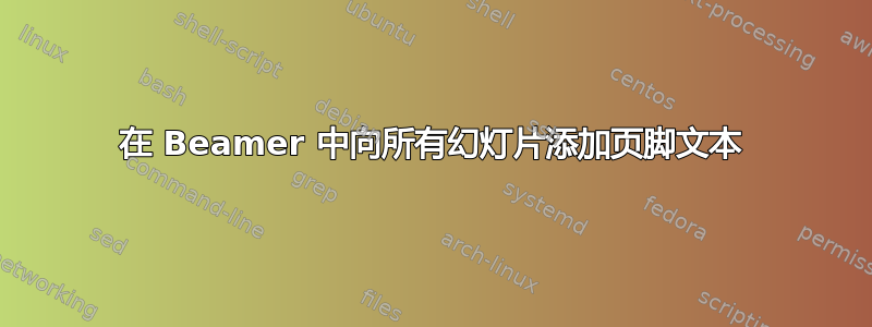 在 Beamer 中向所有幻灯片添加页脚文本