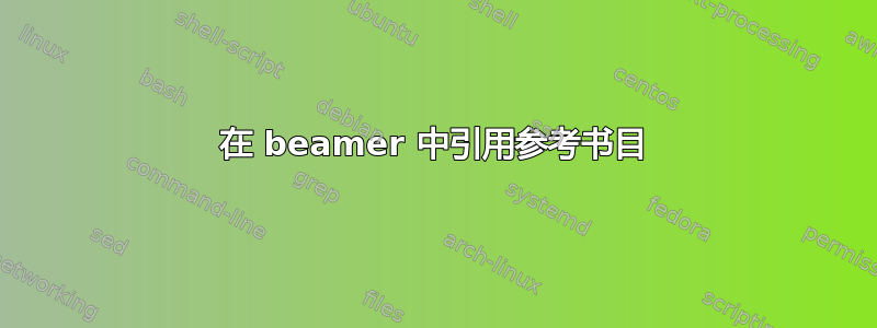 在 beamer 中引用参考书目