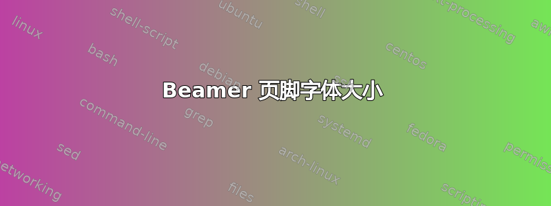 Beamer 页脚字体大小