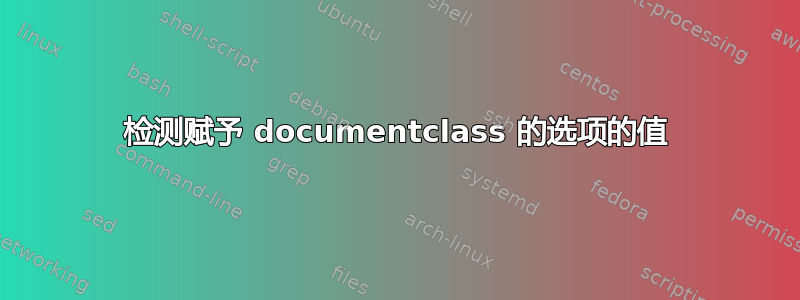 检测赋予 documentclass 的选项的值