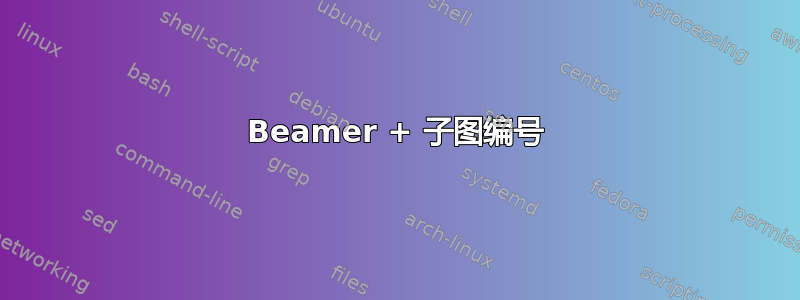 Beamer + 子图编号