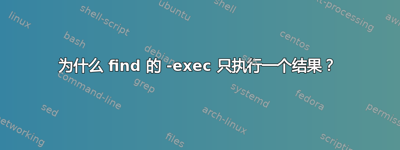 为什么 find 的 -exec 只执行一个结果？