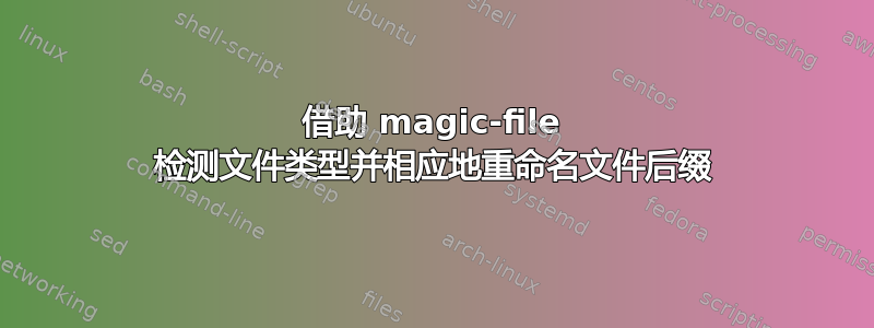 借助 magic-file 检测文件类型并相应地重命名文件后缀