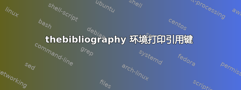 thebibliography 环境打印引用键