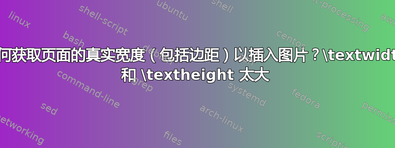 如何获取页面的真实宽度（包括边距）以插入图片？\textwidth 和 \textheight 太大