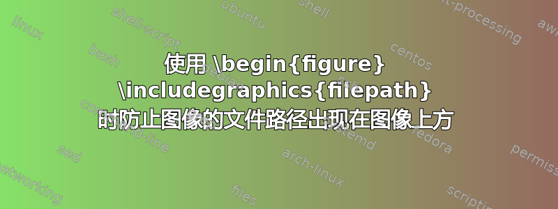 使用 \begin{figure} \includegraphics{filepath} 时防止图像的文件路径出现在图像上方