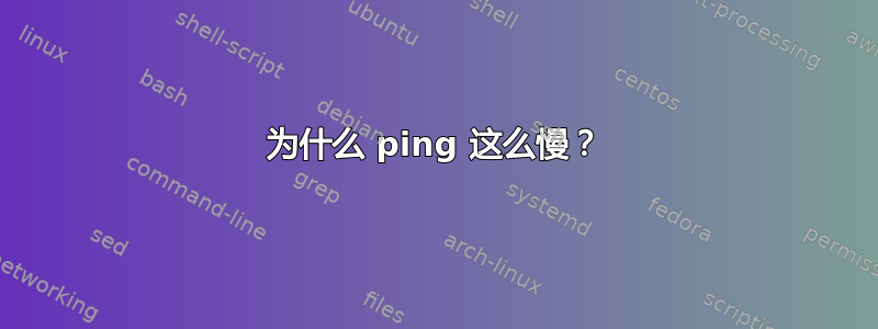 为什么 ping 这么慢？