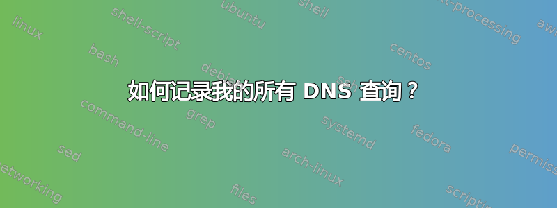 如何记录我的所有 DNS 查询？