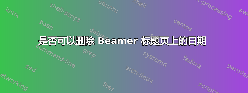 是否可以删除 Beamer 标题页上的日期