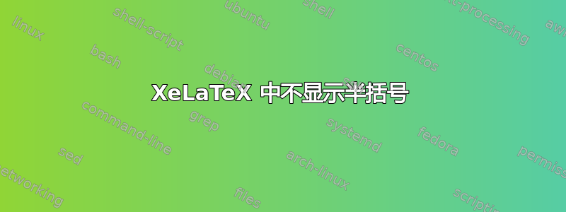 XeLaTeX 中不显示半括号
