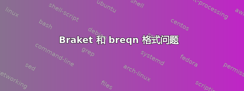 Braket 和 breqn 格式问题 