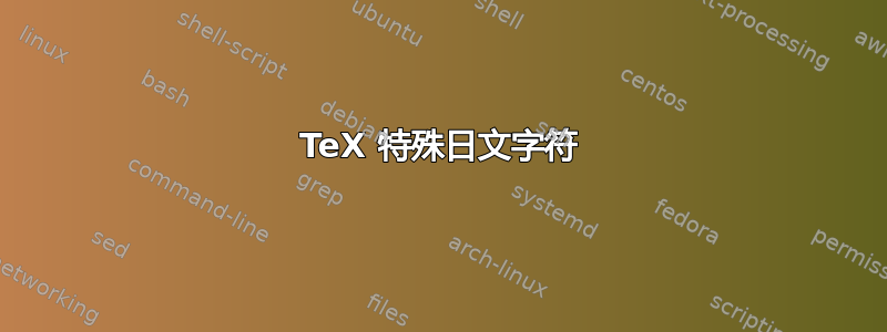 TeX 特殊日文字符