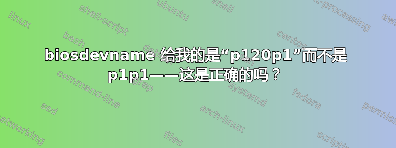 biosdevname 给我的是“p120p1”而不是 p1p1——这是正确的吗？