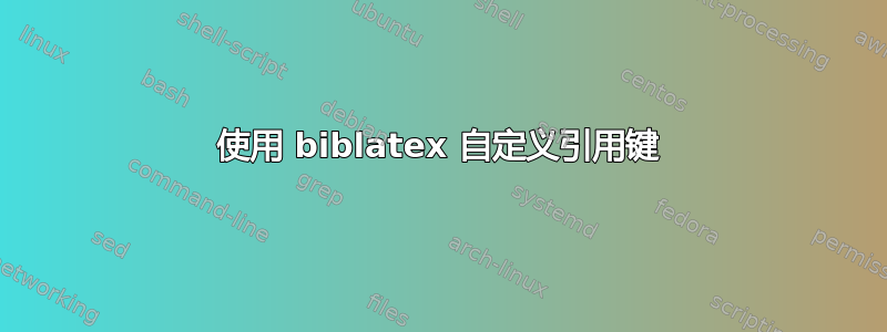 使用 biblatex 自定义引用键