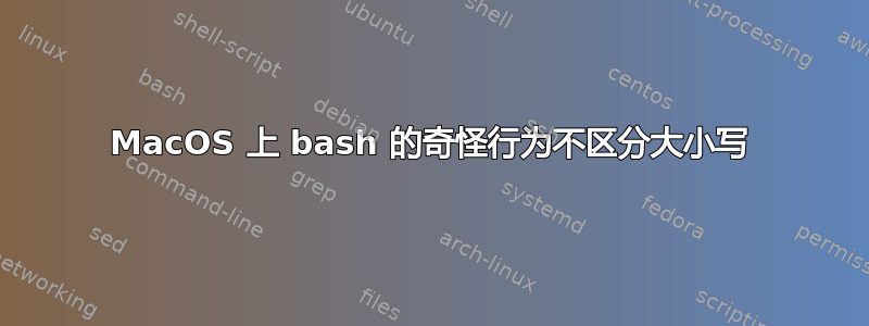 MacOS 上 bash 的奇怪行为不区分大小写