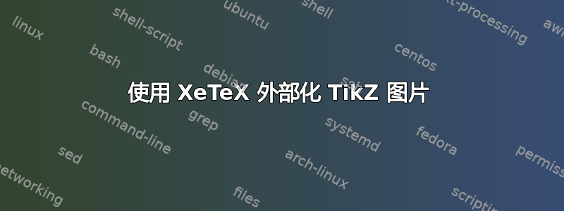 使用 XeTeX 外部化 TikZ 图片